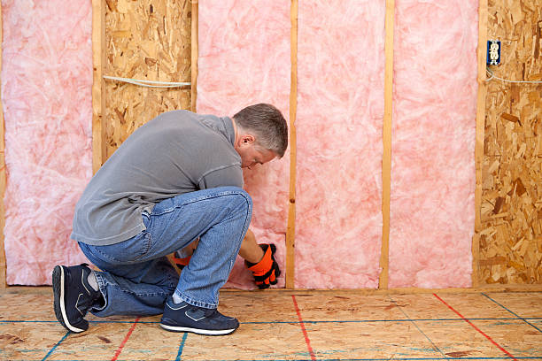 Best Basement Insulation  in Harvard, IL